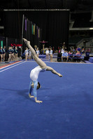 IMG_8222-3