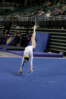 IMG_8212-3