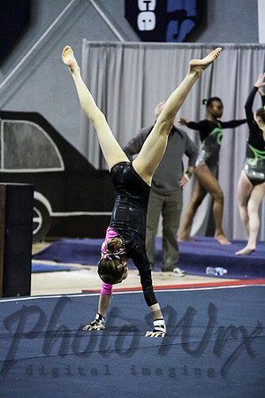 IMG_0490