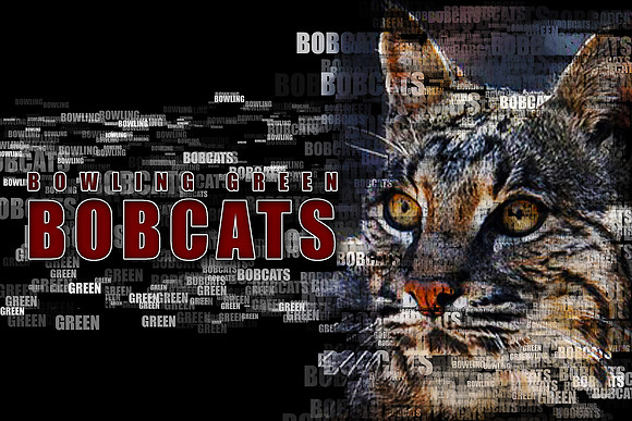 Bobcat